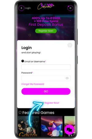 Log In Forms